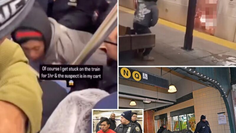 Illegal immigrant faces murder rap for allegedly burning woman to death on NYC subway as DA promises ‘most serious consequences’