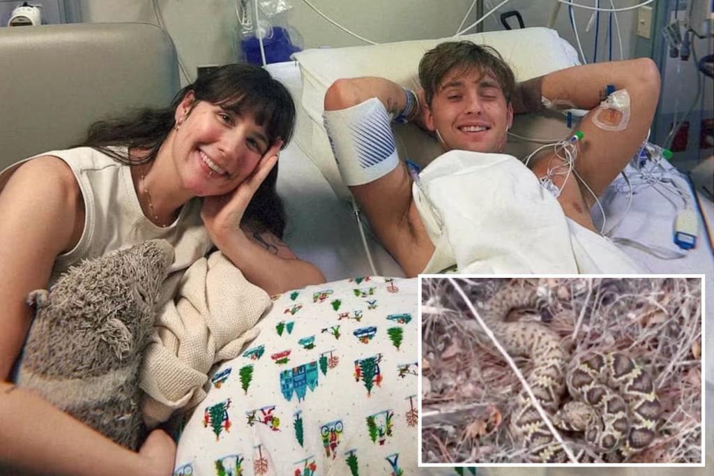 Influencer David Humplett livestreams after diamondback rattlesnake bite