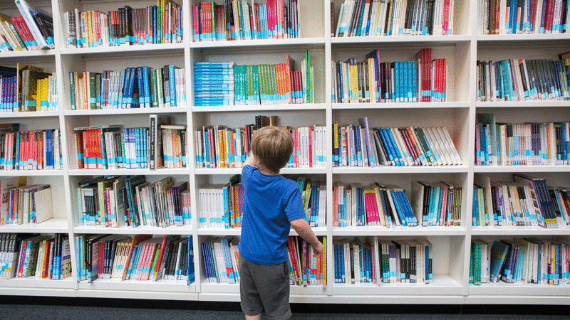 Judge blocks provisions of Arkansas law allowing criminal charges against librarians