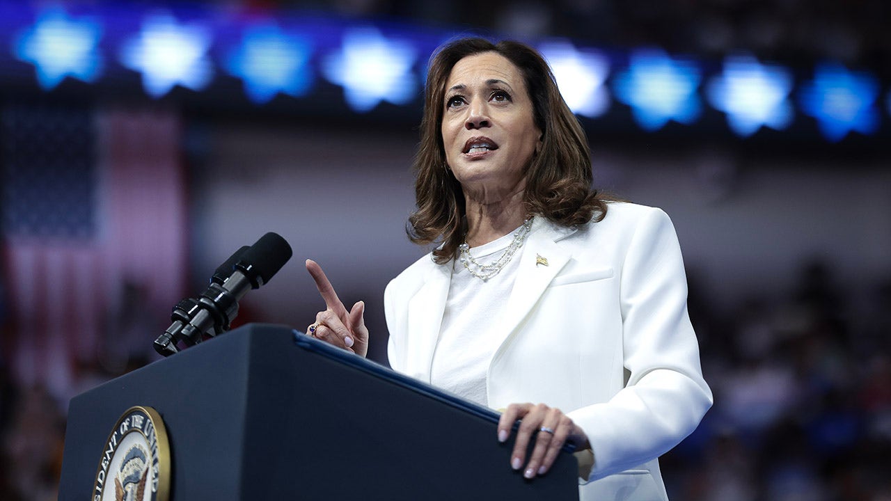 Kamala Harris aide admits Democrats ‘losing hold of culture’ as influencer media shifts right