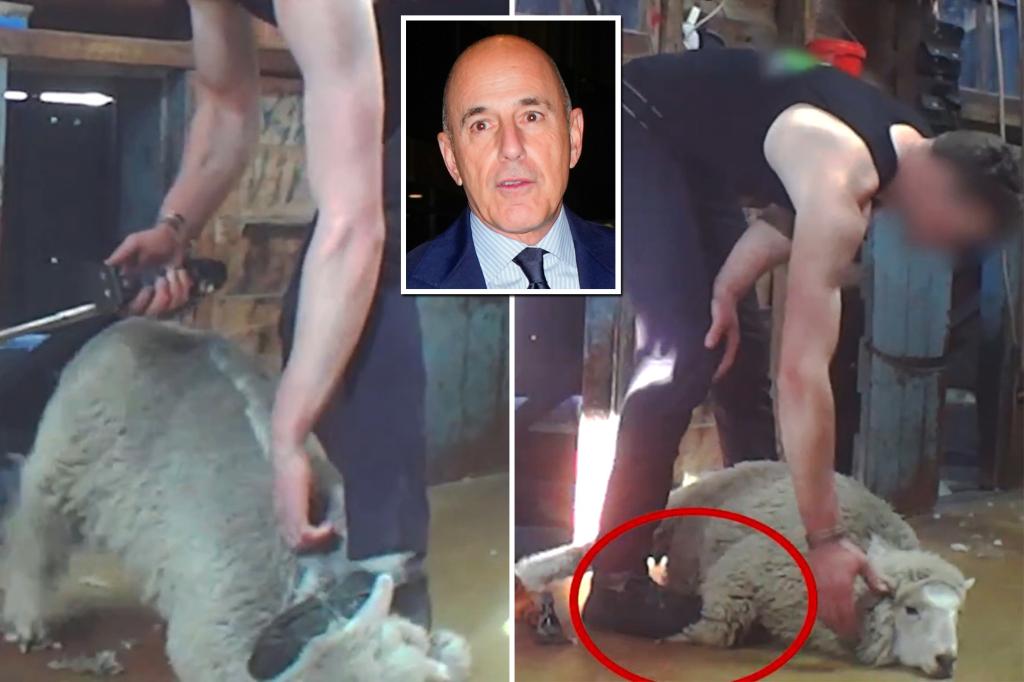 Matt Lauer targeted by PETA for alleged ‘abuse’ by sheep farmers at his $9M New Zealand hideaway