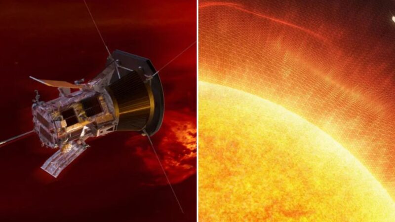 NASA’s Parker Solar Probe survives historic closest-ever flyby to sun