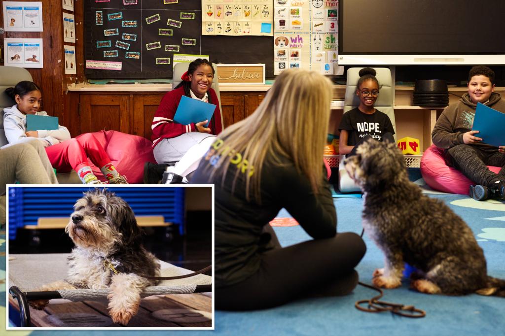 NYC’s ‘Comfort Dog Program’ helps students boost confidence