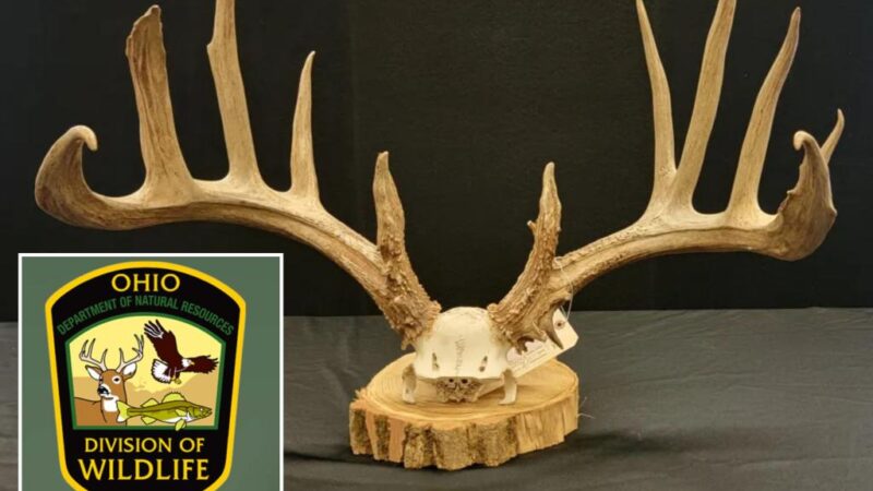 Ohio poacher Christopher Alexander slapped with record-breaking $43K fine after killing ‘valuable’ trophy deer