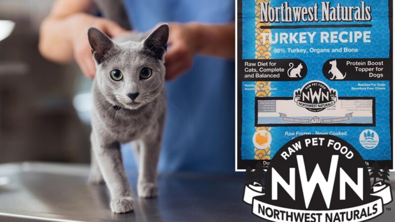 Recall issued after Oregon house cat dies from pet food contaminated with bird flu