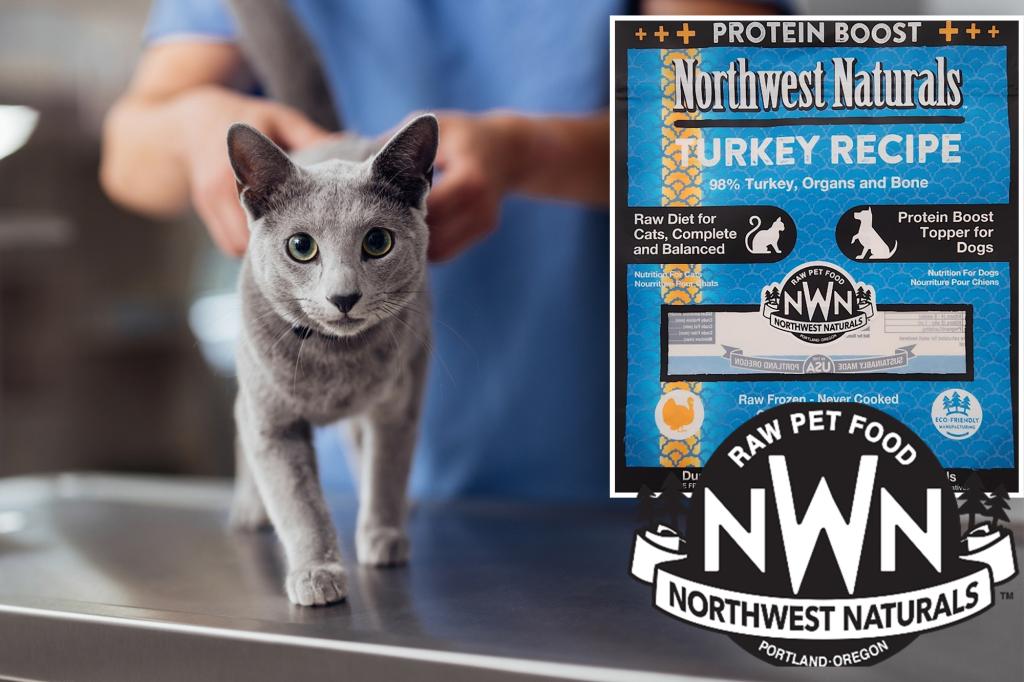 Recall issued after Oregon house cat dies from pet food contaminated with bird flu