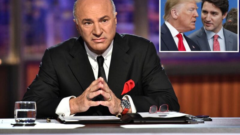 ‘Shark Tank’ star Kevin O’Leary says half of Canadians favor Trump’s proposal for Canada to join the US 