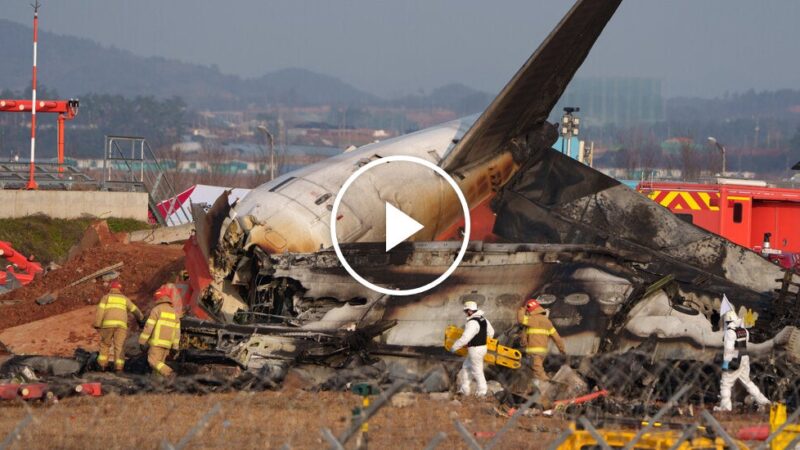 South Korea Plane Crash Kills 179 People