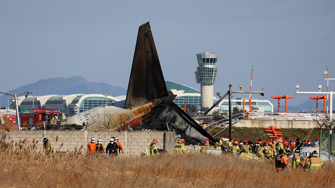 South Korea plane’s final moments captured on video before hitting concrete barrier, triggering explosion