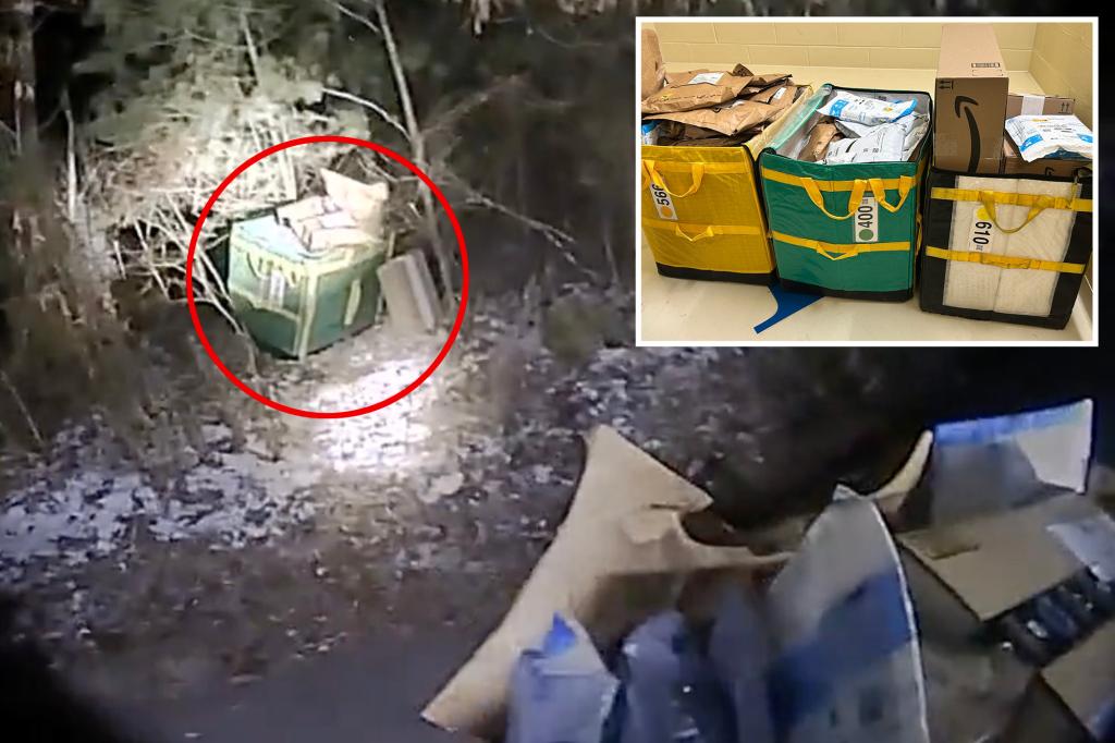 ‘Stressed’ Amazon driver dumps 80 packages in Mass. woods days before holidays