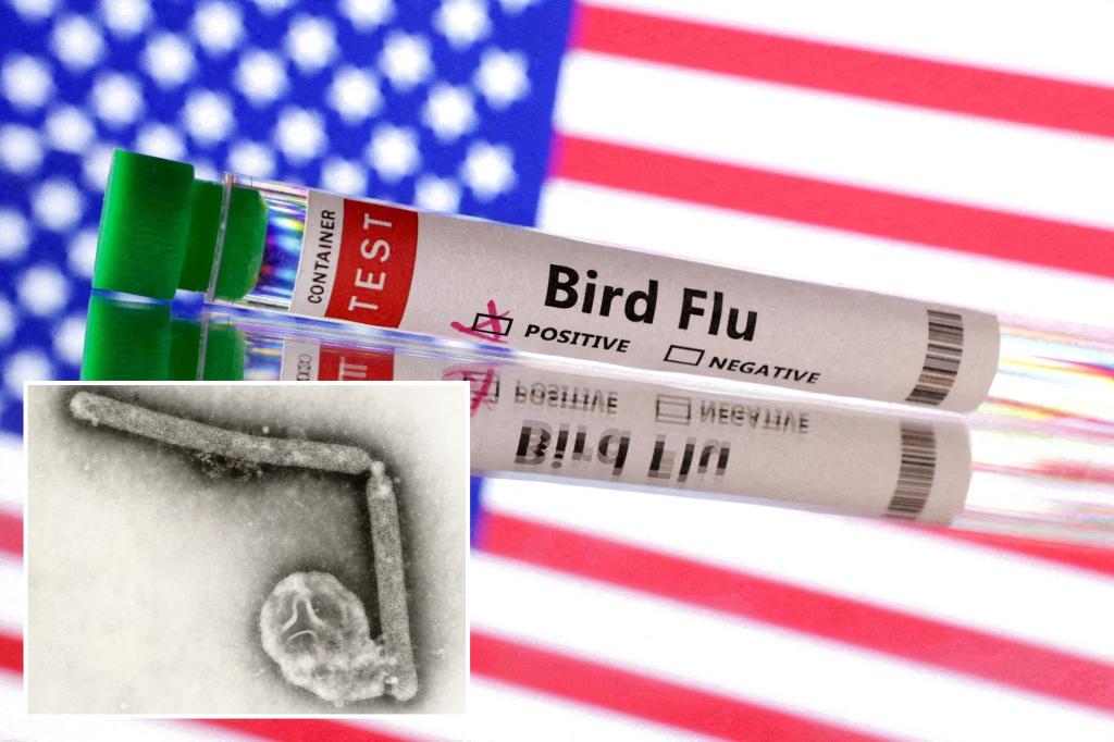 US CDC bird flu research finds mutations in first severe human case