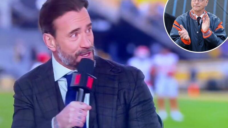 WWE star CM Punk shreds Bears owners during Netflix broadcast