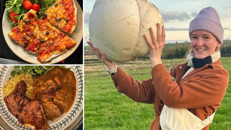 Woman finds 11-pound mushroom, feeds family for week