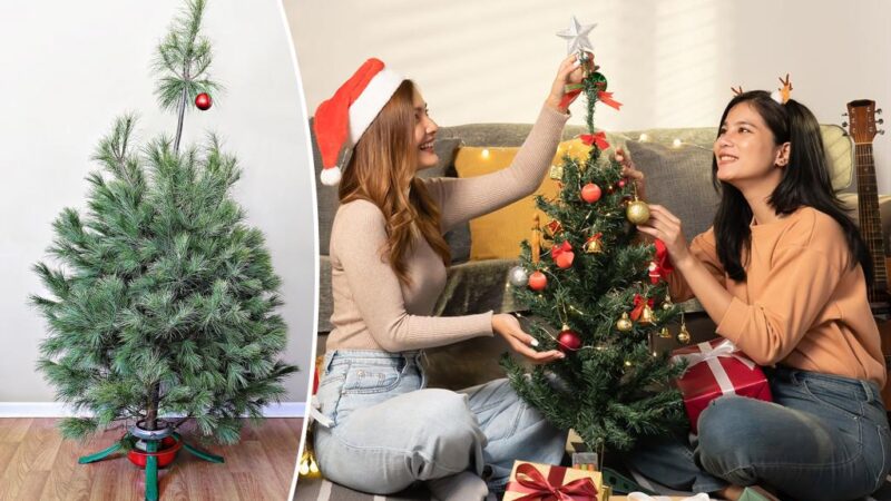 ‘Treezempic’ home decorating trend surges this Christmas