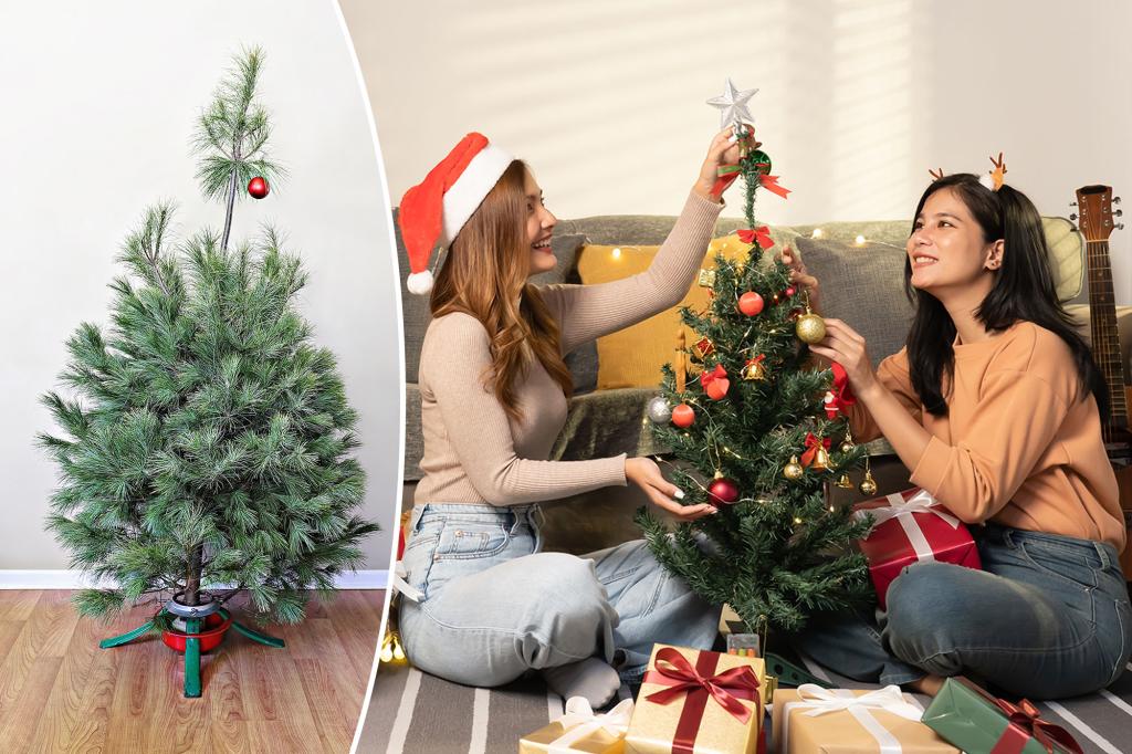 ‘Treezempic’ home decorating trend surges this Christmas