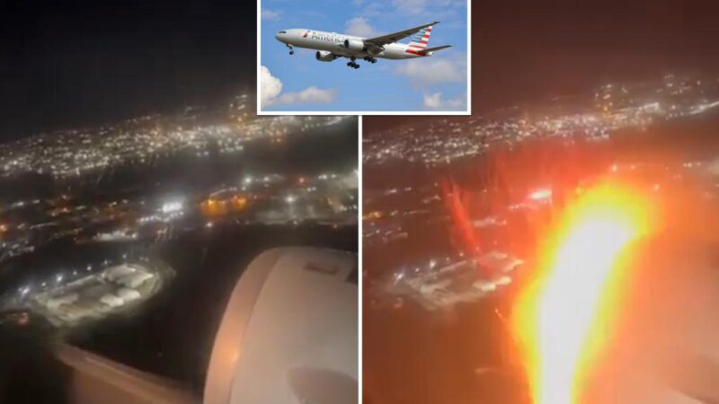 American Airlines flight from LaGuardia emergency lands at JFK after bird strike damages engine