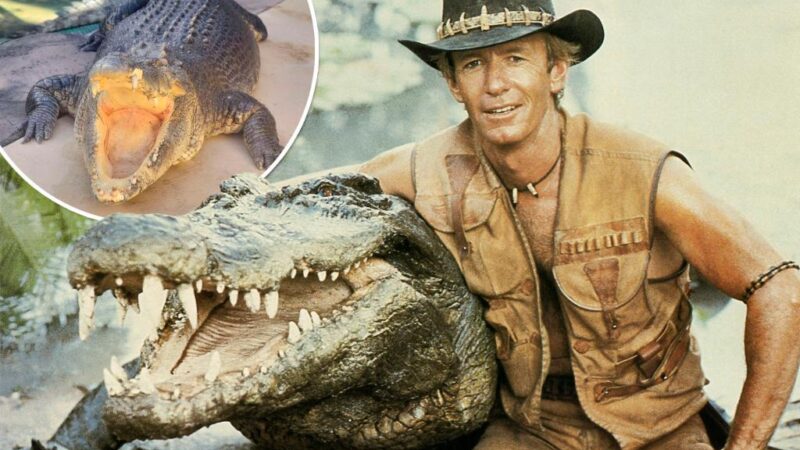 Burt the reptile from ‘Crocodile Dundee’ dead at 90