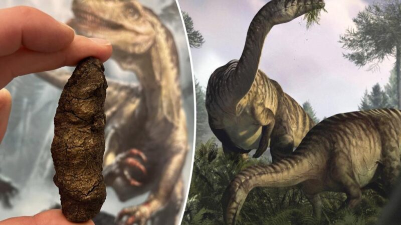 Fossilized dinosaur feces, vomit help scientists reconstruct creatures’ rise