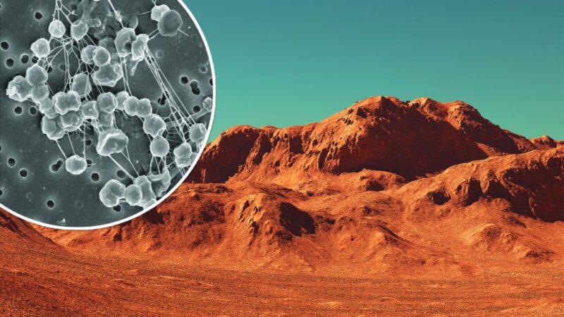 New clue to alien life on Mars could settle ‘intense debate’: study