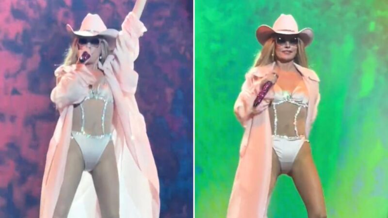 Shania Twain’s performance in her underwear divides fans