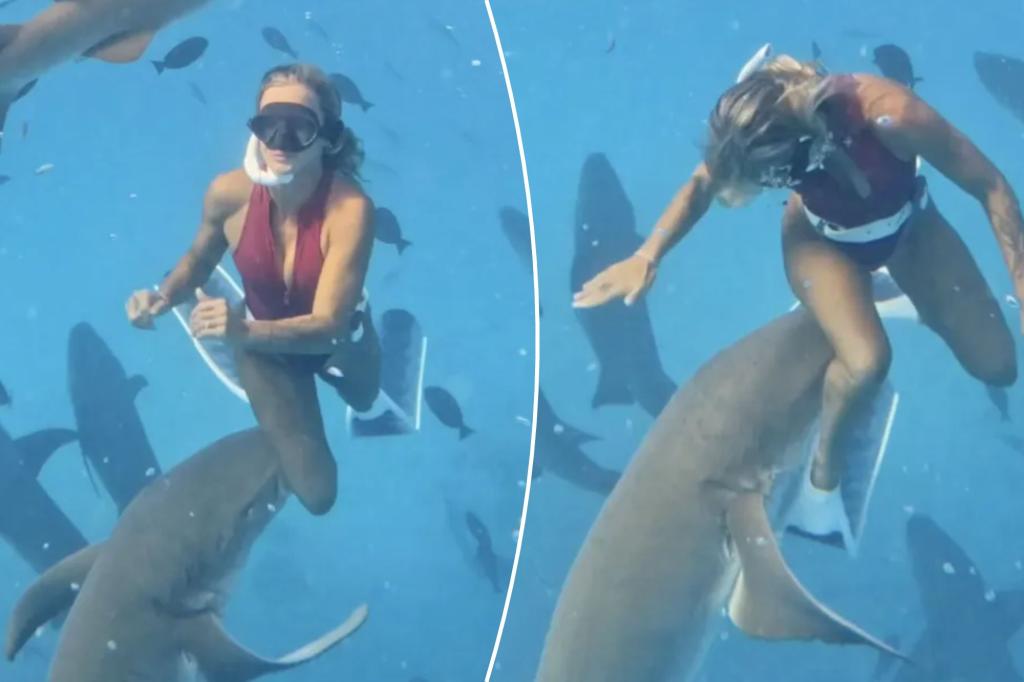 Terrifying moment shark bites woman captured in wild video