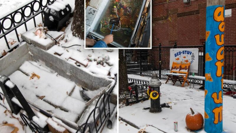 Bizarre NYC street aquarium closed because of cold, snow — but locals say fish were stashed in secret location