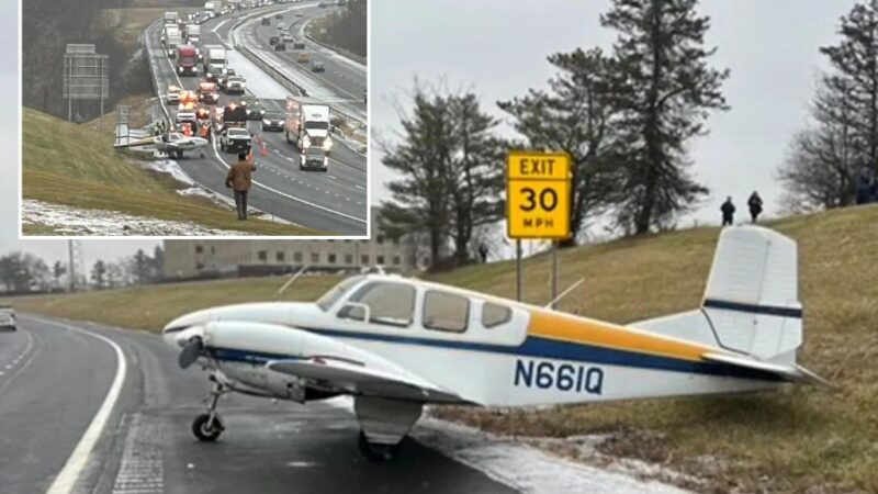 Small plane makes emergency landing on busy NY thruway —