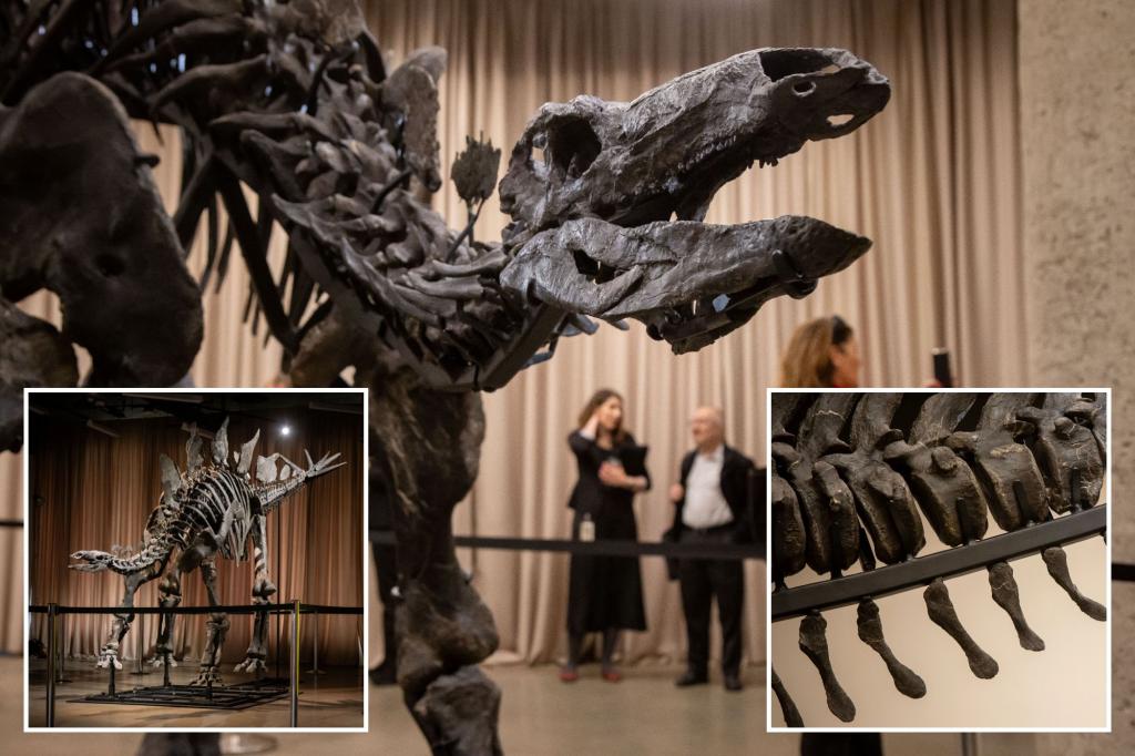 Massive, 150M-year-old Stegosaurus skeleton headed to NYC museum — thanks to billionaire Ken Griffin