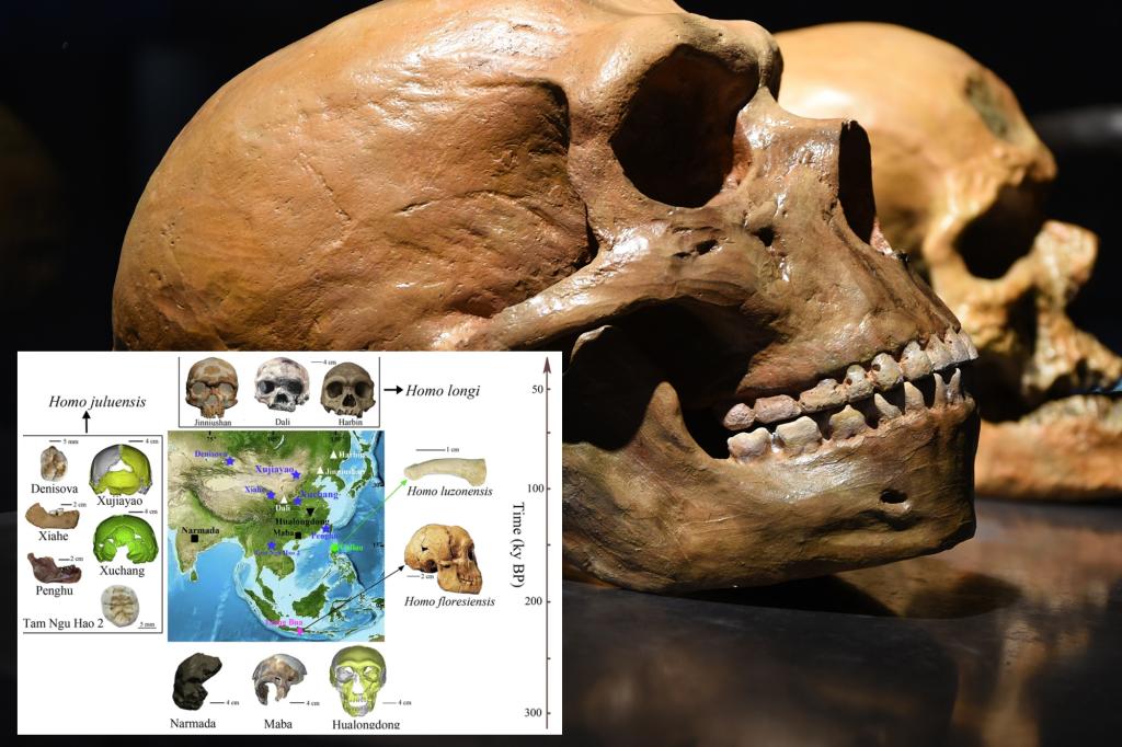 Scientists discover lost ‘big head’ human species in Asia