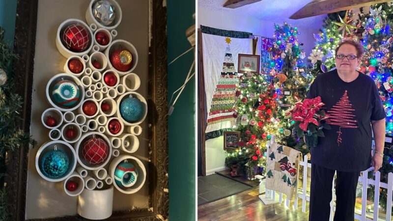 This Ohio woman is rockin’ around her Christmas trees, 727 of them