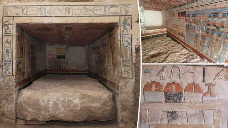 4,100-year-old Egyptian tomb belongs to royal courtier with unique life-saving skill