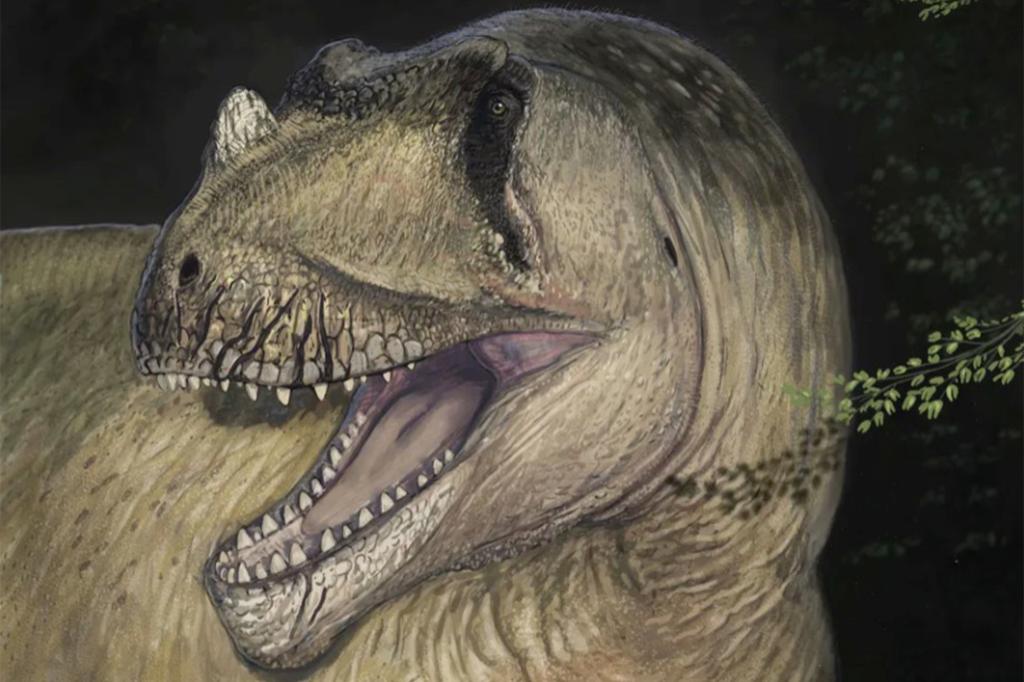 New predator dinosaur species discovered after century of misclassification