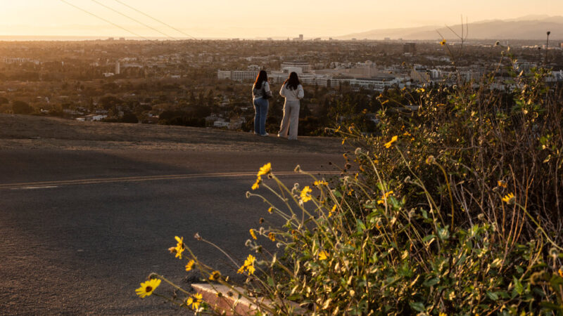 The Push and Pull of Los Angeles: Beauty and Danger