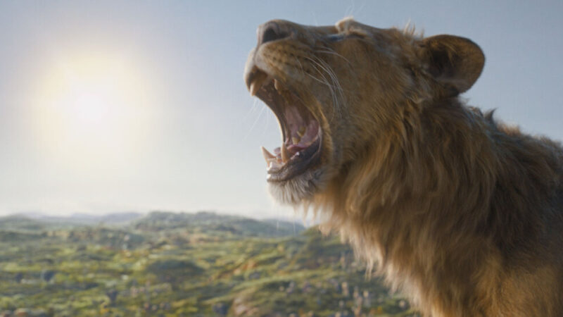 How ‘Mufasa: The Lion King’ Became a Sleeper Hit