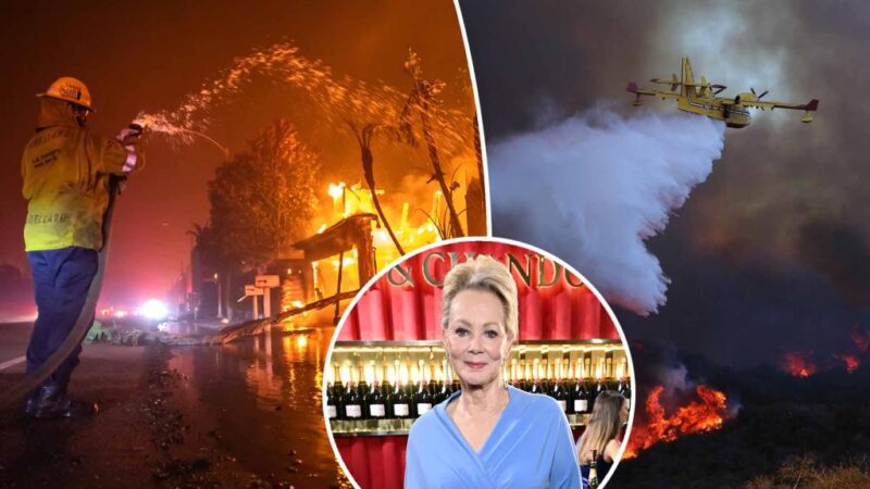 Jean Smart calls for award shows to not be televised due to deadly LA wildfires: ‘With all due respect’