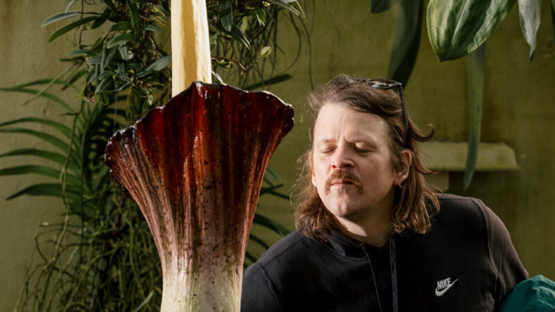 What’s That Stench? A Corpse Flower Blooming at Brooklyn Botanic Garden.