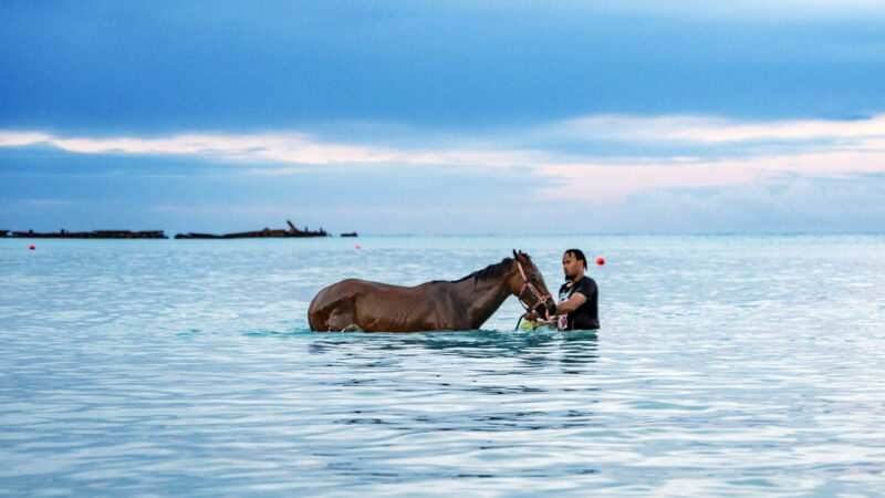 36 Hours in Barbados: Things to Do and See