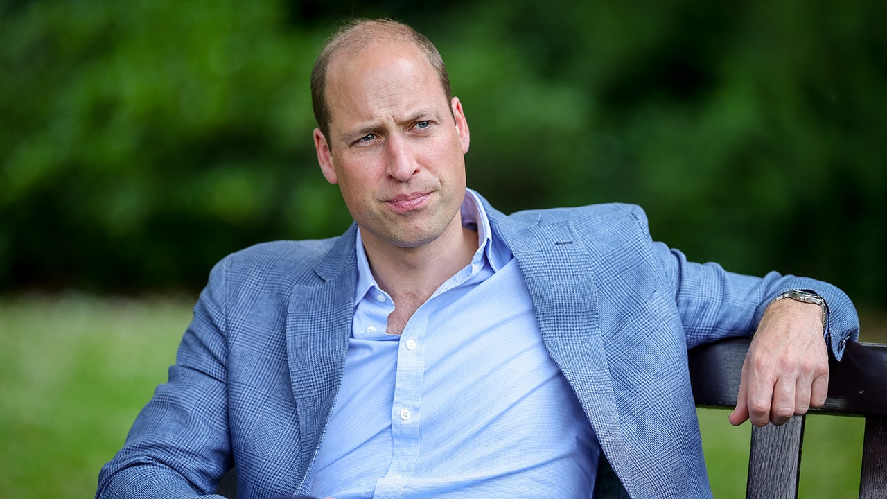 Prince William looking to recruit new working royals amid family drama: expert