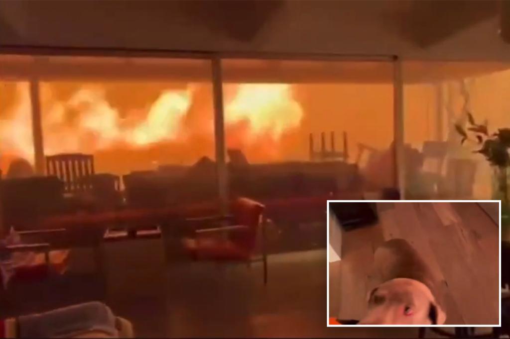 Horror video shows two men and a dog trapped in fire-ravaged home