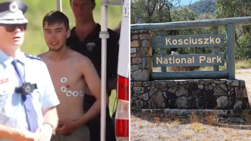 Medical student found in ‘remarkable condition’ after going missing for 2 weeks during hiking trip