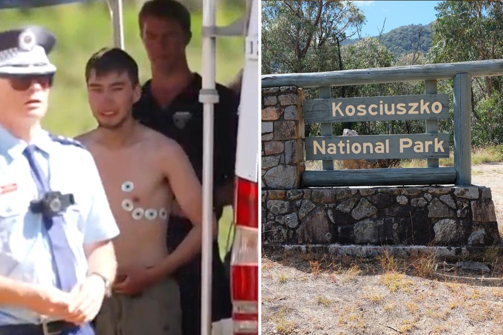 Medical student found in ‘remarkable condition’ after going missing for 2 weeks during hiking trip