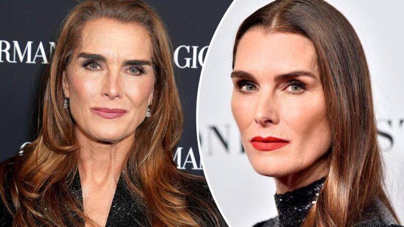 Brooke Shields says surgeon threw in ‘bonus’ during labia surgery