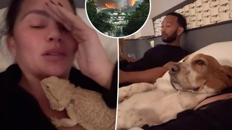 Chrissy Teigen, John Legend take refuge from LA wildfires in a hotel with their four kids, dogs and pet bearded dragon