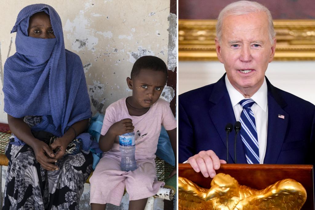 Biden admin slammed for waiting to declare genocide in Sudan