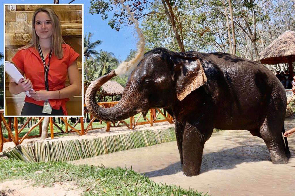 Expert warns Americans about elephant tourism after young student is killed in Thailand: ‘Recipe for disaster’