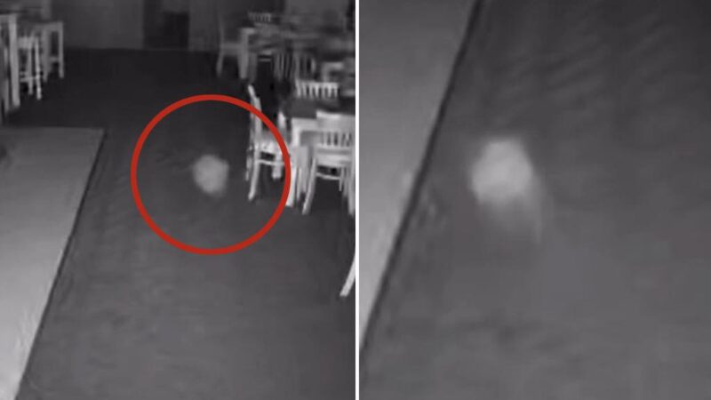 Footage shows figure floating around cricket club’s bar