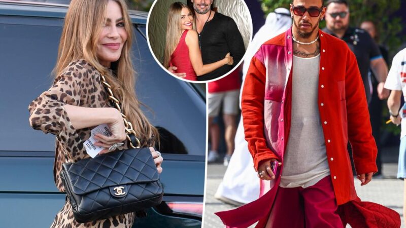 Sofía Vergara, 52, sparks romance rumors with Lewis Hamilton, 40, during NYC lunch date