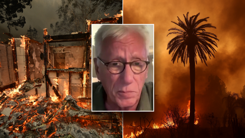 Actor James Woods recalls chaotic moments as Palisades fire gained momentum