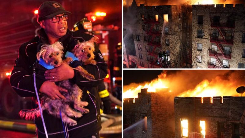 Bronx fire leaves 7 injured as 200 firefighters respond to five-alarm blaze