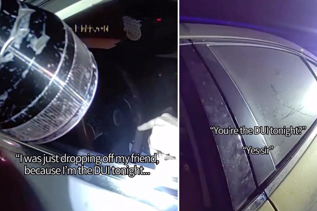 Calif. motorist arrested after saying he was the ‘DUI’ during traffic stop